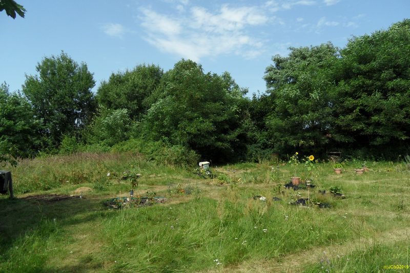 Unser Garten Juli 2013