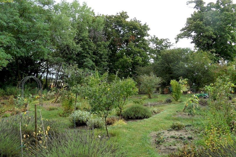 Weiterer Blick nach Nordosten mit u.a. Beet „Acht“ Ende September 2020