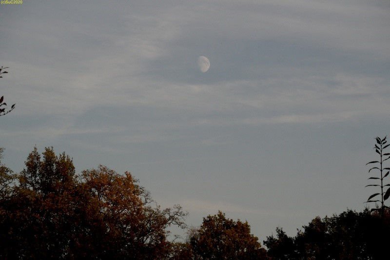 Der Mond 44. Kalenderwoche 2014