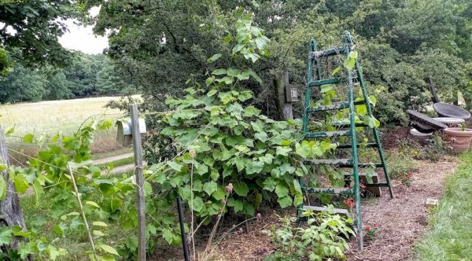 Ein wenig Regen in der Nacht