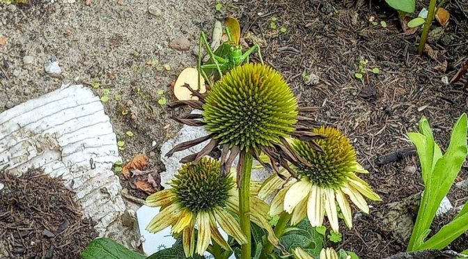 Vollmond im September 2021