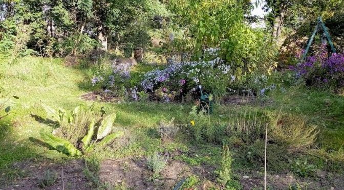 Weiter rein geräumt