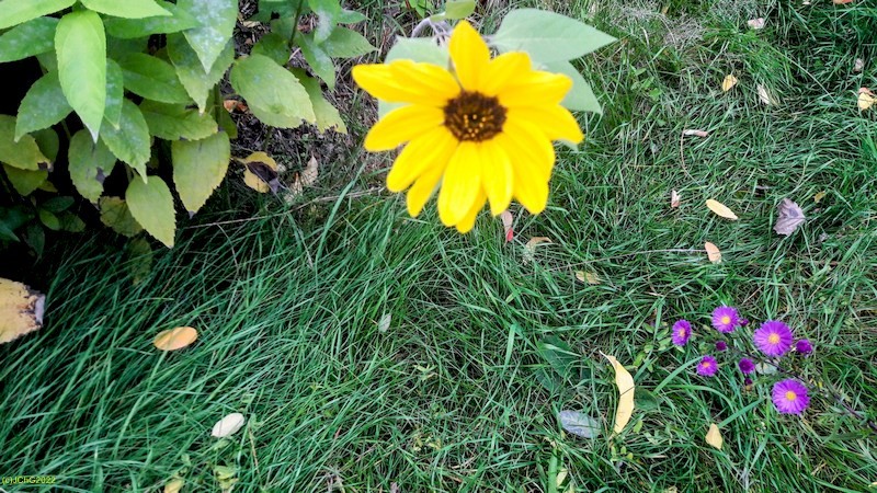 Oktober Vollmond FinchesjarRietz