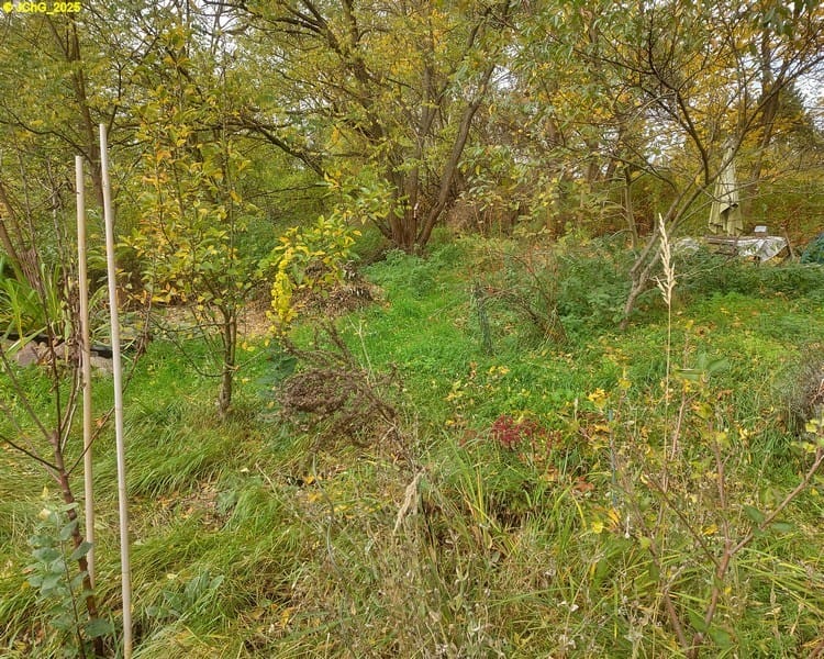 Herbstlicher Gartenblick nach Norden 43. Kalenderwoche 2025