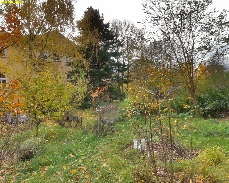 Herbstlicher Gartenblick nach Südwesten 43. Kalenderwoche 2025