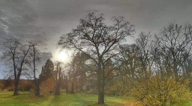 44. Kalenderwoche 2025