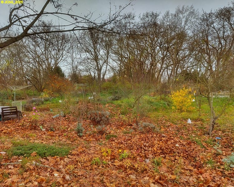 Blick nach Norden, 46. Kalenderwoche 2025