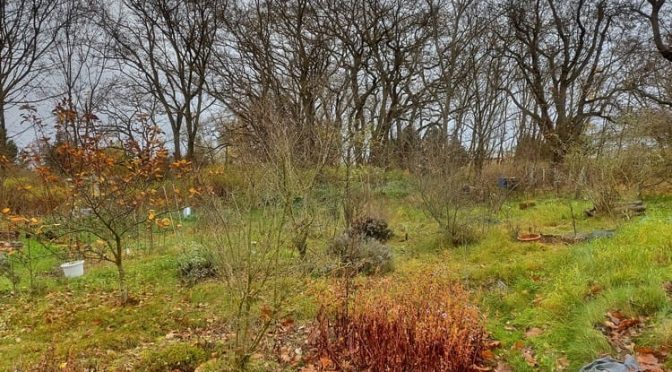 46. Kalenderwoche 2025