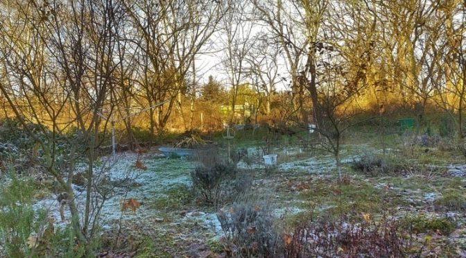 47. Kalenderwoche 2025