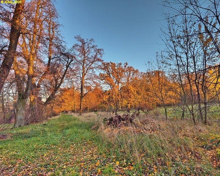 Die alte Dorfstraße 45. Kalenderwoche 2025