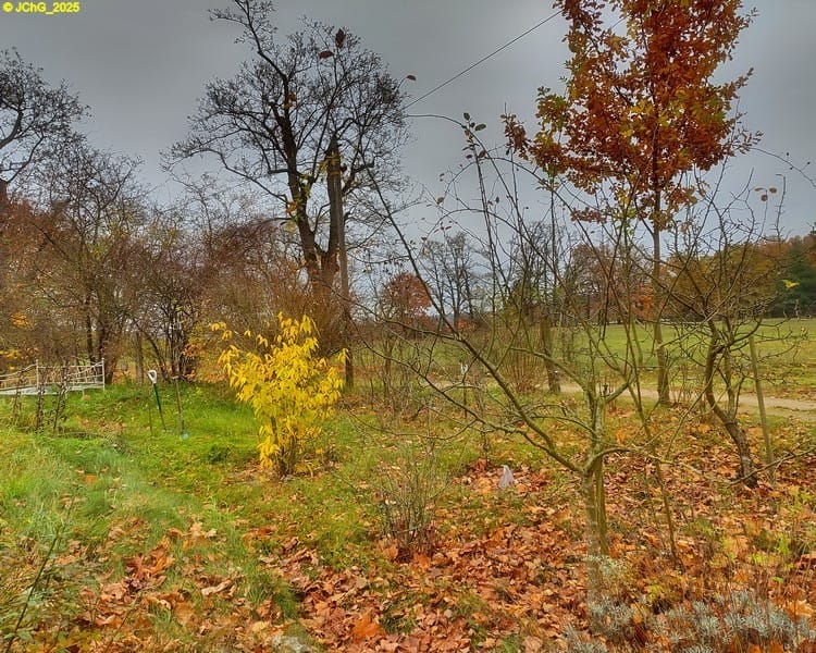 Blick nach Osten 45. Kalenderwoche 2025