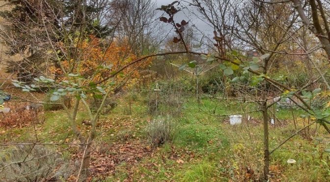 45. Kalenderwoche 2025