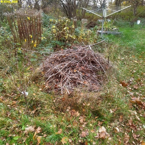 Holzhaufen im Garten 45. Kalenderwoche 2025