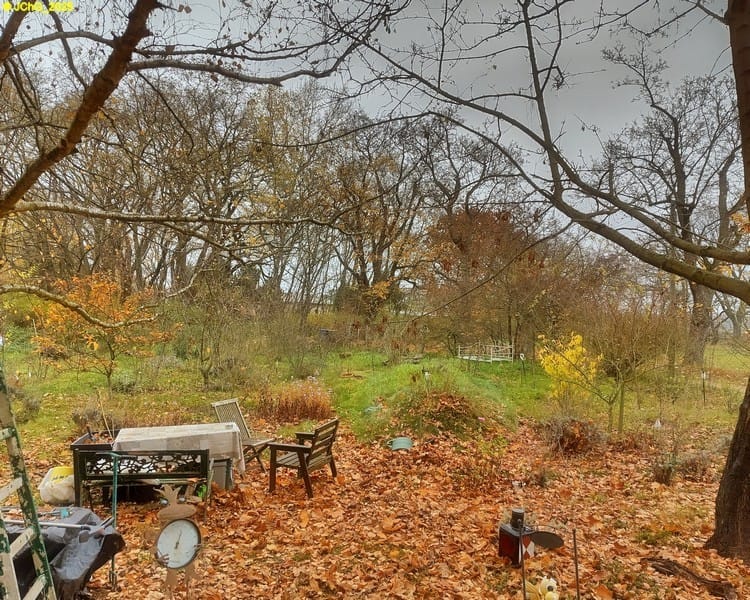 Blick nach Norden auf den Garten 45. Kalenderwoche 2025