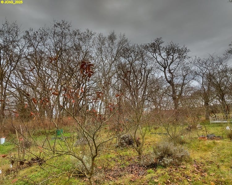 Blick nach Norden, 48. Kalenderwoche 2025 Cover