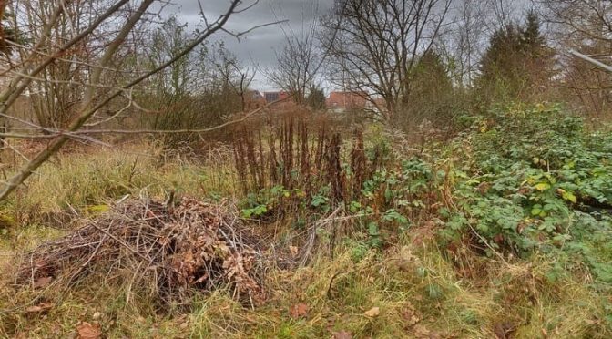 48. Kalenderwoche 2025