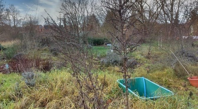 49. Kalenderwoche 2025