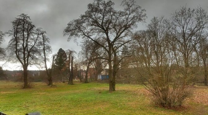 51. Kalenderwoche 2025