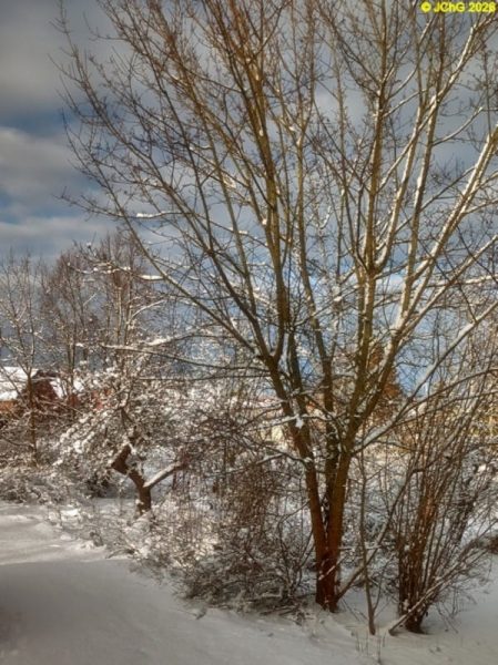 Sonniger Wintertag, Januar 2026