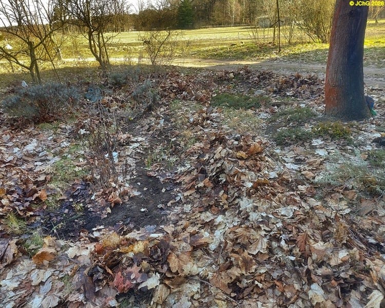 Beet "Sommerflieder", Februar 2026