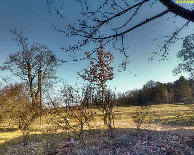 Blick nach Osten, Februar 2026