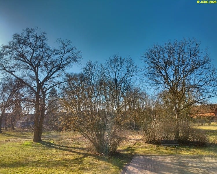 Linde, Haselnuss, Walnuss, März 2026