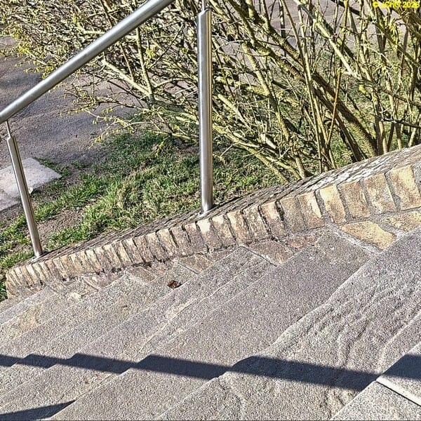 Tagpfauenauge sonnt auf der Treppe März 2026