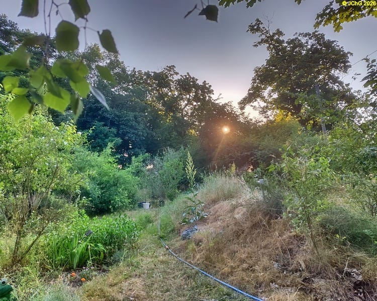 Sonnenaufgang, 26. Kalenderwoche 2026