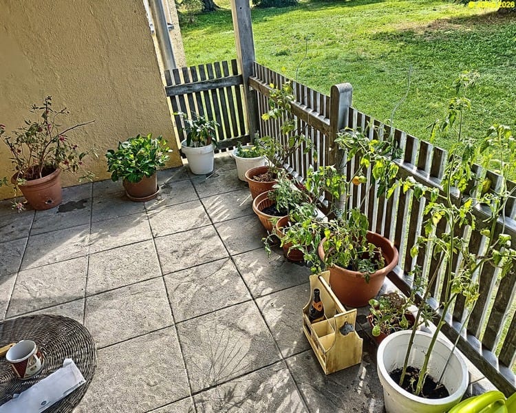 Die Terrasse mit Fuchsie, Bauernhortensie, Chili, Tomaten und mehr, 32. Kalenderwoche 2026